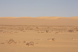 Libyan Desert Glass Field Libyan Desert Glass Field