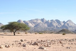 Eastern Desert