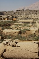 Figure 4. Columns from the church at Medinet Habu in the forgeground, with the mudbrick ruins of Jeme in the background