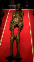 Nesi-hensu the Zagreb mummy