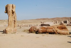 Tanis Ramesses II