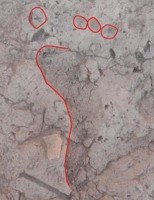 Figure 13-Footprint in mud floor of 18th dynasty courtyard