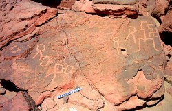 Figure 3. Site 21 Unidentified so-called Blemmyes or tribal signs
