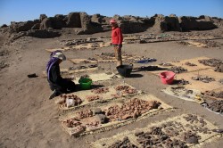 Figure 8-sorting ostraca at Edfu